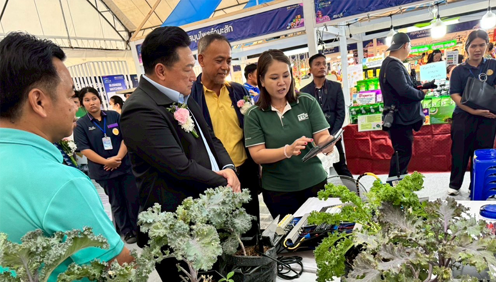 มหกรรมเจ้าพระยา-ป่าสัก UP EXPO 2025